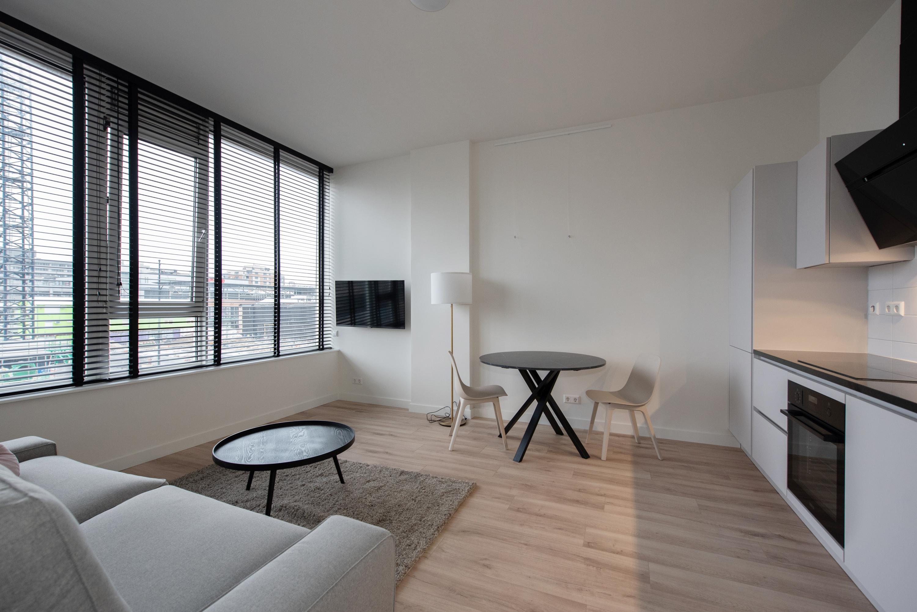 apartments for rent on Wethouder Hillenaarplantsoen 105